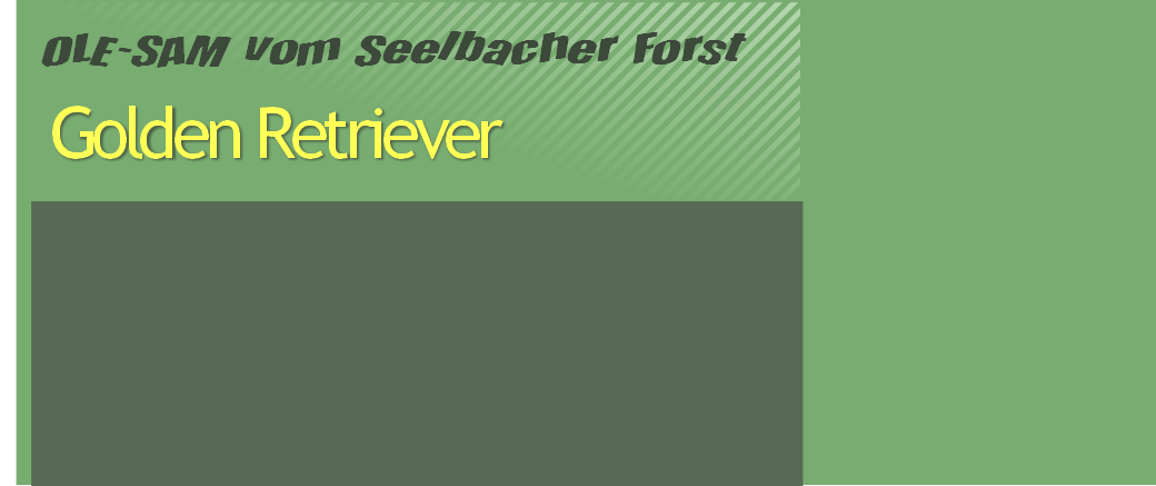 OLE-SAM vom Seelbacher Forst